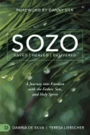sozo saved healed delivered a journey into freedom with the father son and