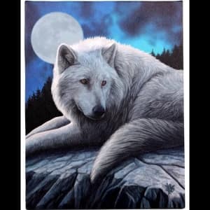 Small Guardian Of The North Canvas Picture by Lisa Parker