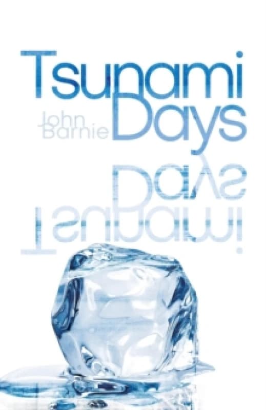 Tsunami Days Paperback / softback