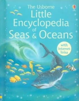 The Usborne Little Encyclopedia of Seas and Oceans by Ben Denne and David Hancock and Margaret Rostron Hardback