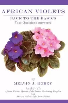 African Violets Back to the Basics by Melvin J Robey