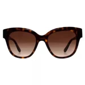 Butterfly Havana Brown Gradient DG4407