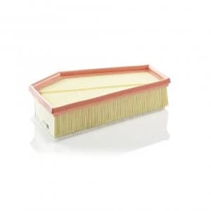 Mann Filter C29150 Air Filter