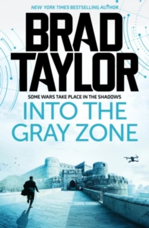 Into the Gray Zone Paperback / softback