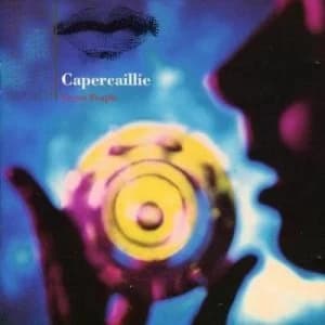 Secret People by Capercaillie CD Album