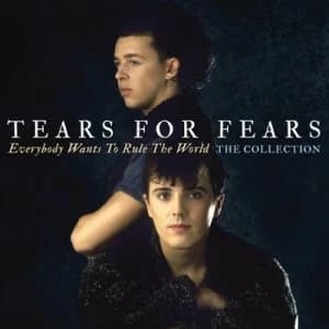 Everbody Wants to Rule the World by Tears for Fears CD Album