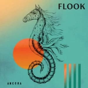 Flook - Ancora Vinyl