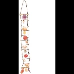Shell Ladder