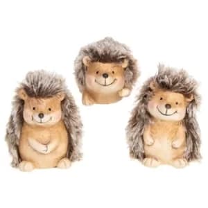 Happy Hedgehog Medium