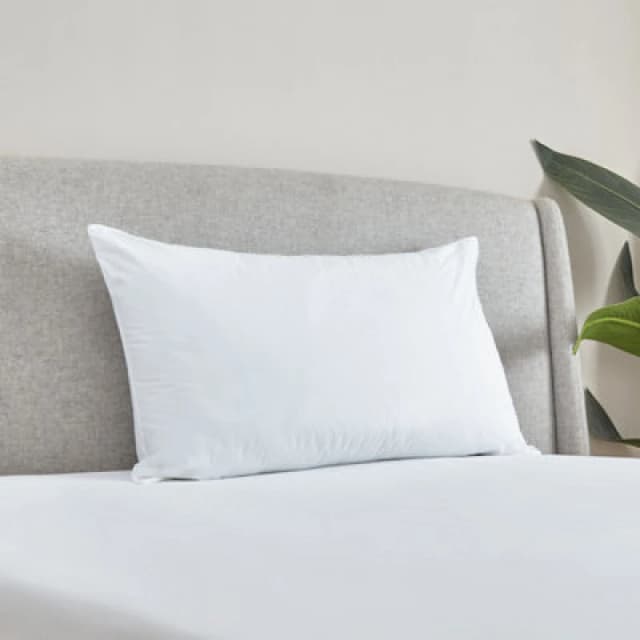 Catherine Lansfield Catherine Lansfield 'Cotton Spring' Pillow in White White One Size Unisex 5057681112237