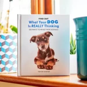Find Out What Your Dog is Really Thinking Book