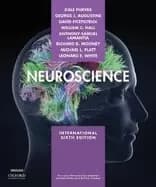 neuroscience xe