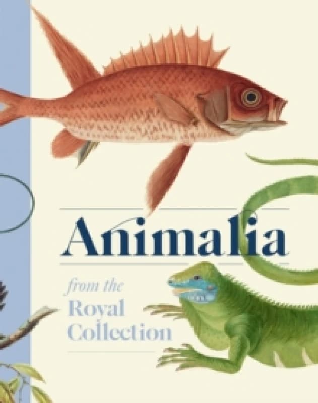 Animalia : From the Royal Collection Hardback