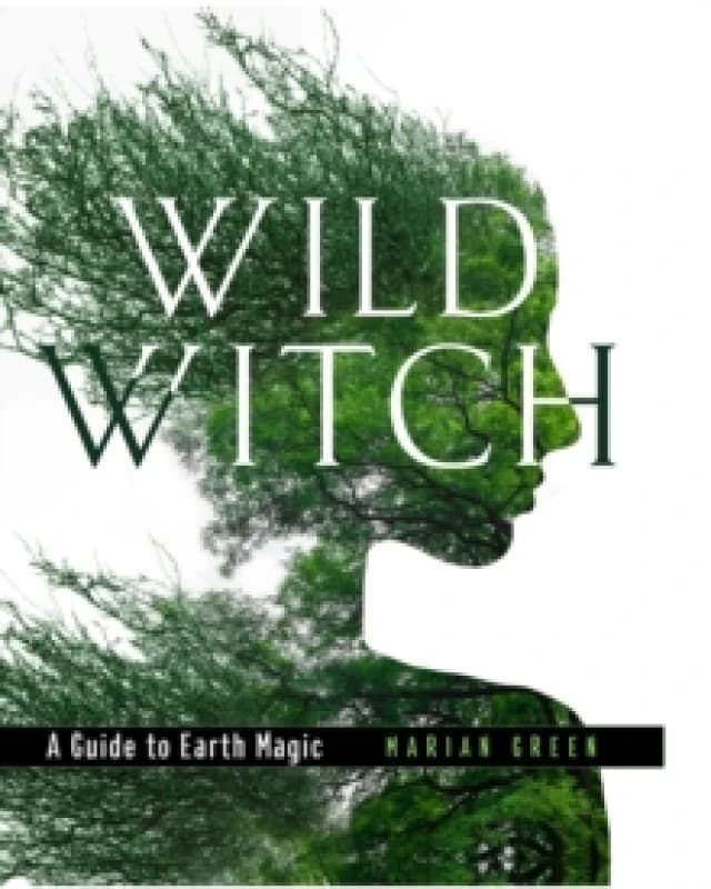 Wild Witch. Hardback. By Marian Green Books