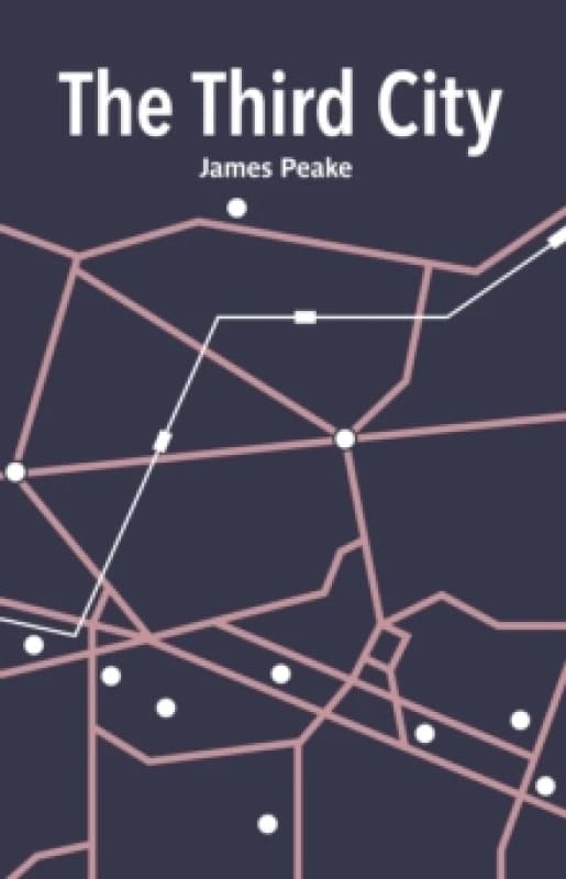 The Third City Paperback / softback