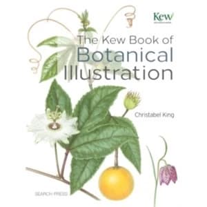 The Kew Book of Botanical Illustration by Christabel King (Hardback, 2015)