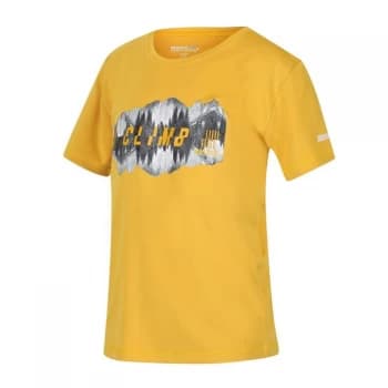 Regatta Alvarado V T-Shirt - Grapefruit