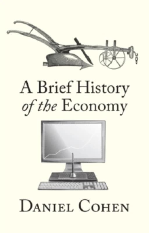 A Brief History of the Economy Hardback