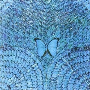 Borboletta by Santana CD Album