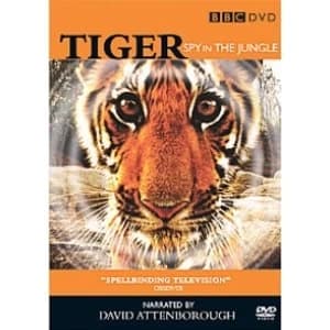 Tiger Spy In The Jungle DVD