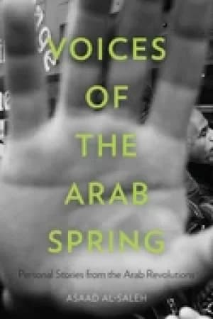 voices of the arab spring personal stories from the arab revolutions