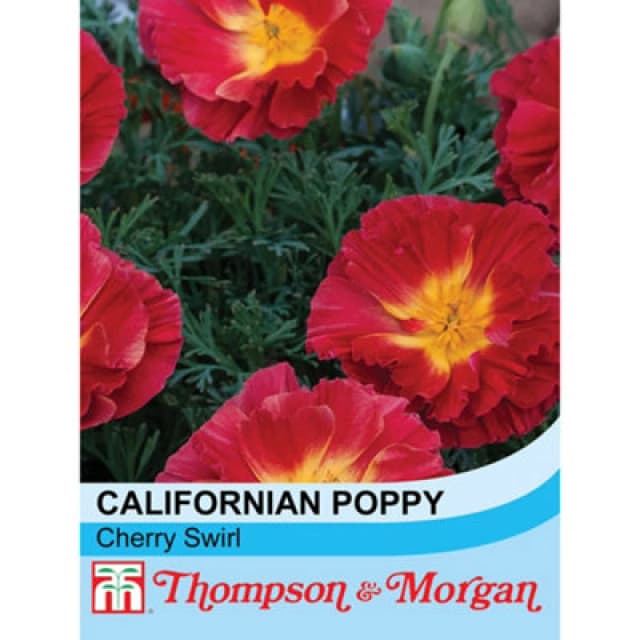Thompson & Morgan Californian Poppy Cherry Swirl 1 Packet (125 Seeds)
