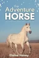 adventure horse book 5 in the connemara horse adventure series for kids the