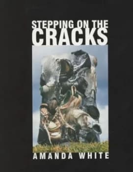 Stepping on the Cracks by Amanda White Paperback