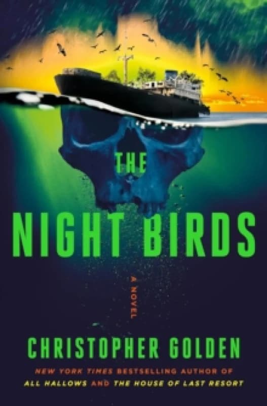 The Night Birds Paperback / softback