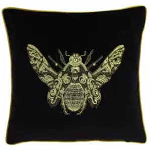 Cerana Bee Velvet Cushion Black / 50 x 50cm / Cover Only