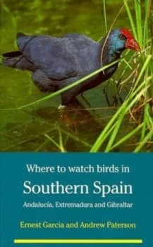 Where to Watch Birds in Southern Spain by Ernest Garcia and Andrew Paterson Paperback