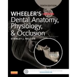Wheeler's Dental Anatomy, Physiology and Occlusion