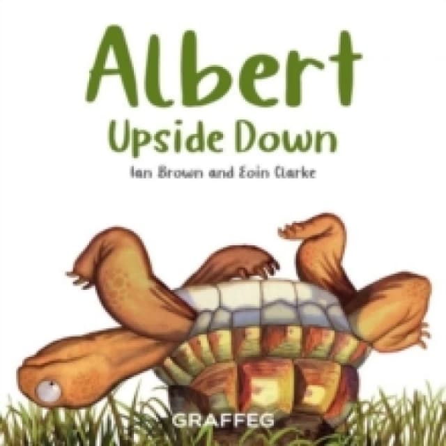 Albert Upside Down Paperback / softback