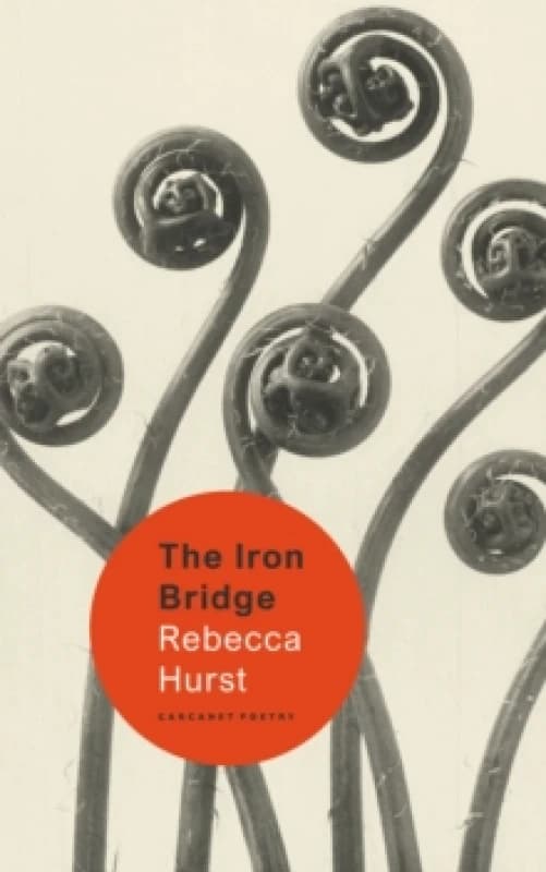 The Iron Bridge Paperback / softback