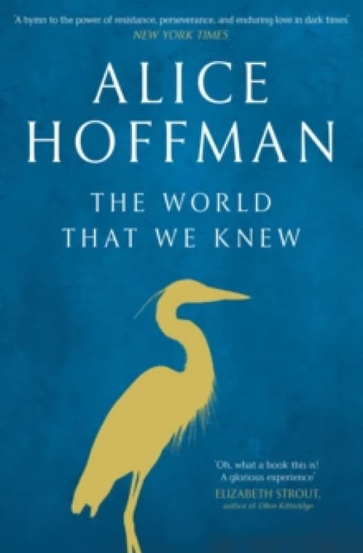 The World That We Knew Paperback / softback