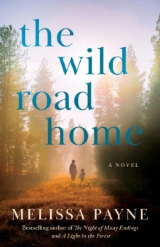 The Wild Road Home : A Novel Paperback / softback