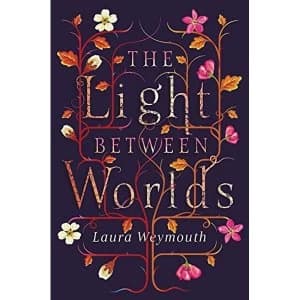 The Light Between Worlds Paperback / softback 2018