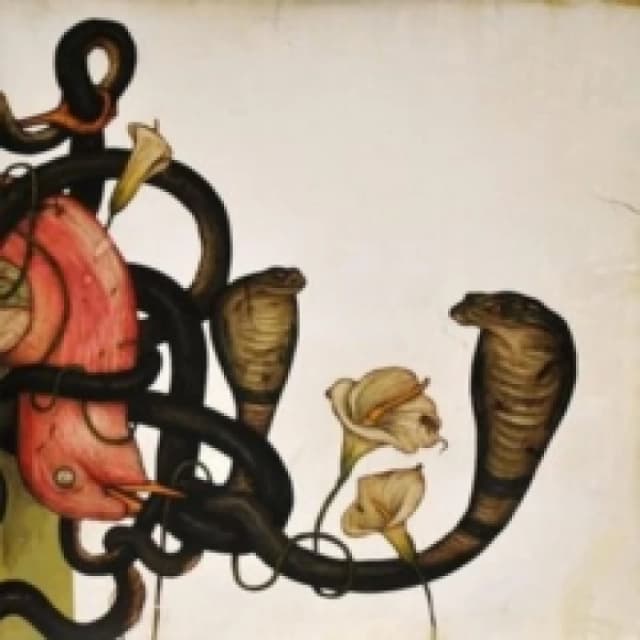 Head Down CD / Album Digisleeve