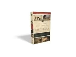 niv cultural backgrounds study bible bringing to life the ancient world of
