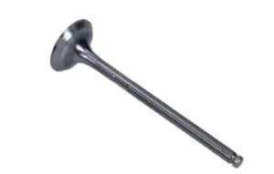 AMP Exhaust Valve PCIT031-A-0-N FIAT,PEUGEOT,CITROEN,Ulysse (179_),Scudo Kastenwagen (220_),Scudo Kombi (220_),ULYSSE (220),206 Schragheck (2A/C)