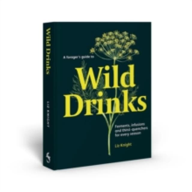 A Forager's Guide to Wild Drinks : Ferments, infusions and thirst-quenchers for every season Hardback
