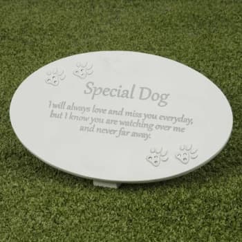 Thoughts of You Resin Memorial Plaque - Dog