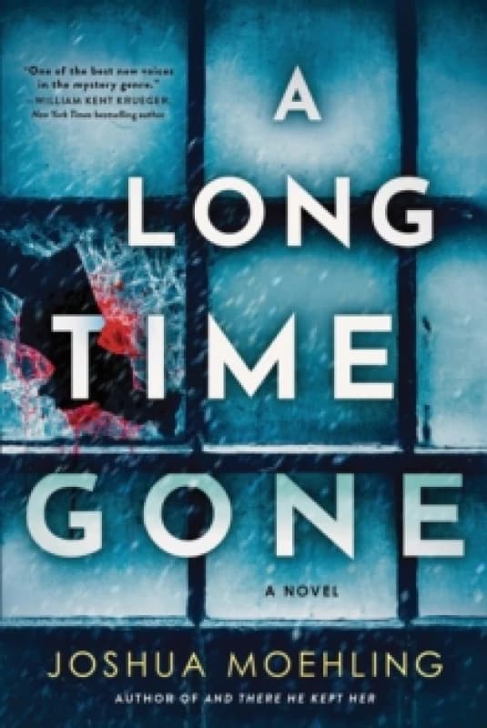 A Long Time Gone : A Novel Paperback / softback