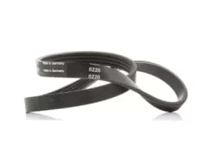 SKF V-ribbed belt FORD,RENAULT,JAGUAR VKMV 4PK735 1120199,XS7E6C301CC,JD61137 XS7E6C301CC,7700870367