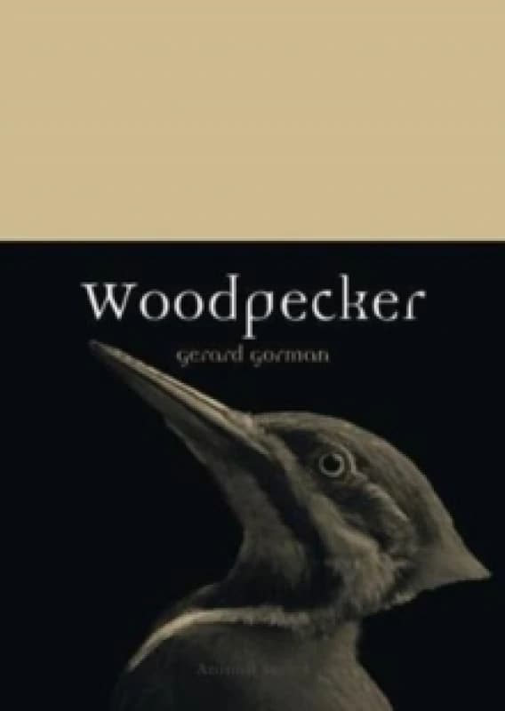 Woodpecker Paperback / softback