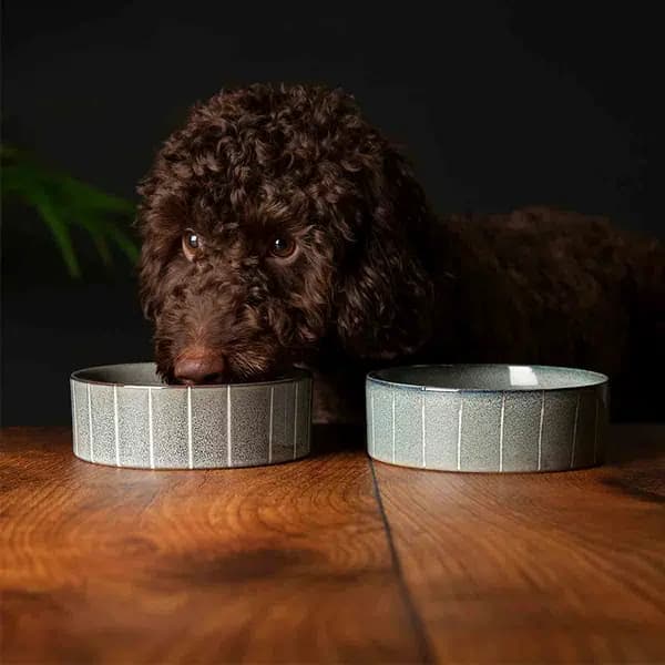 Scruffs Scruffs Luxirous Reactive Glaze Dog Bowl Set 15cm SET/RCD/829146