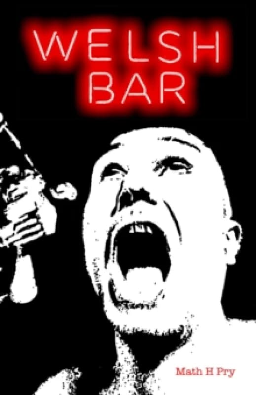 Welsh Bar Paperback / softback