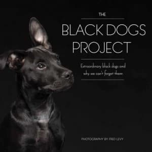 The Black dogs project by Fred Levy