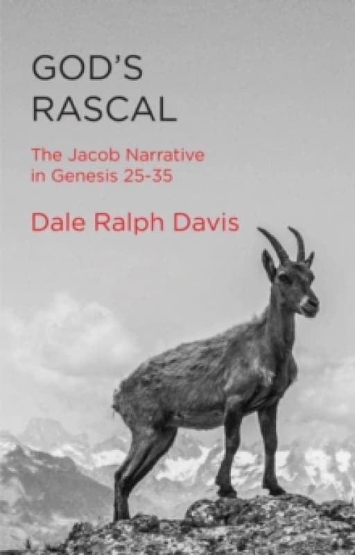 God's Rascal : The Jacob Narrative in Genesis 25-35 Paperback / softback