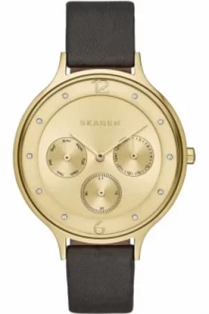 Ladies Skagen Anita Watch SKW2393